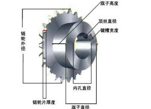 链轮示意图