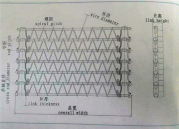 SUS不锈钢螺旋网带 速冻螺旋网带